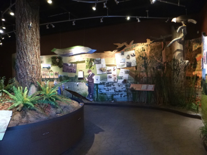 Walk through informational displays inside the Wildlife Center